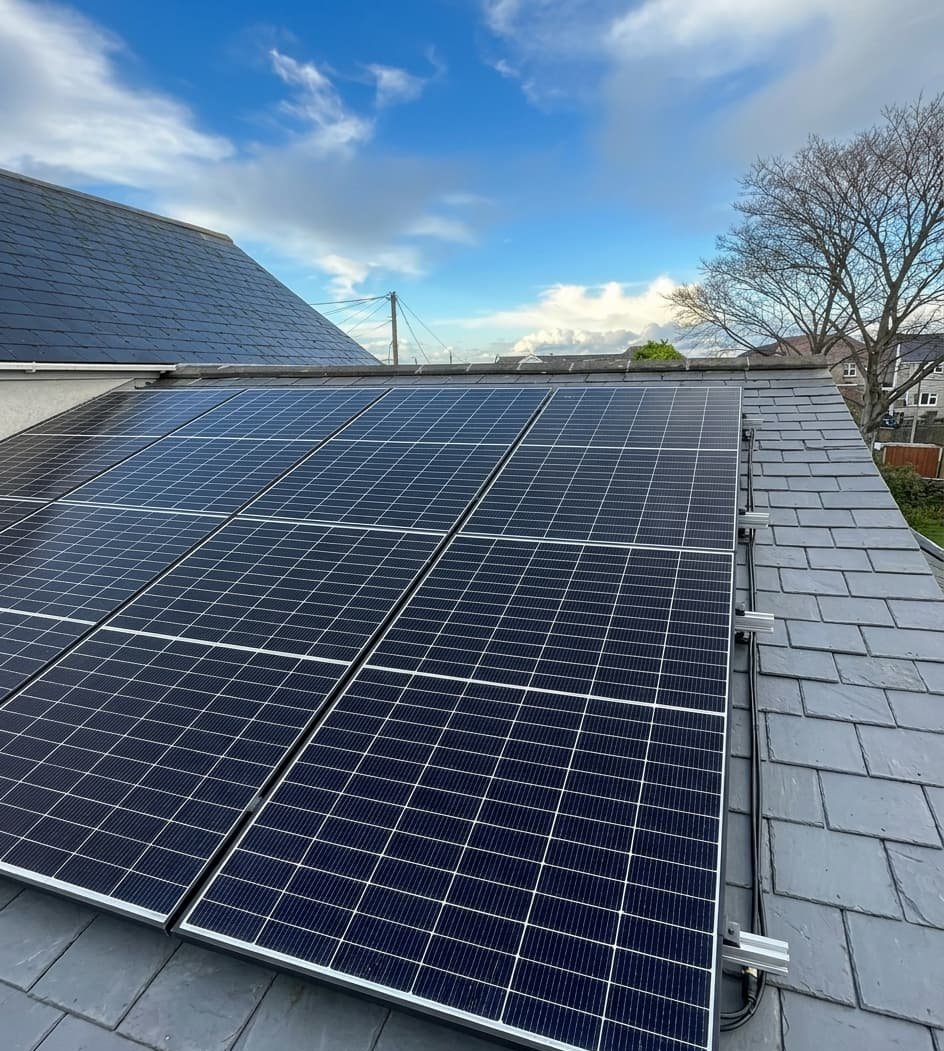 Trina Solar all-black panels installed on a South Wales home